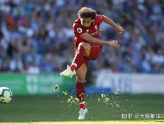 莱切斯特城客场逆袭，取得宝贵三分赢得球迷认可的简单介绍